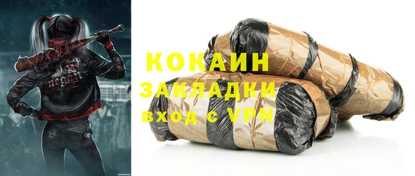 спиды Ладушкин