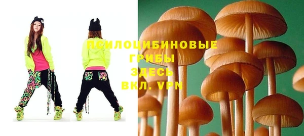 гашишное масло Лабытнанги
