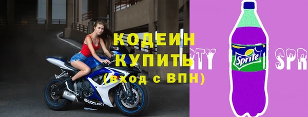 ГАЛЛЮЦИНОГЕННЫЕ ГРИБЫ Лагань