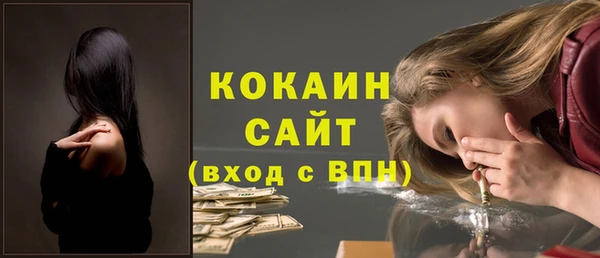 ГАЛЛЮЦИНОГЕННЫЕ ГРИБЫ Лагань
