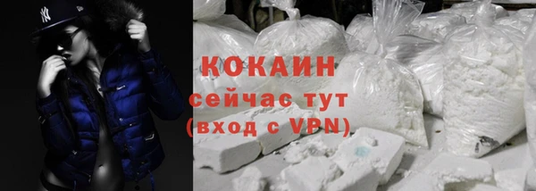 ГАЛЛЮЦИНОГЕННЫЕ ГРИБЫ Лагань