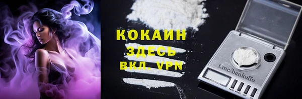 ГАЛЛЮЦИНОГЕННЫЕ ГРИБЫ Лагань