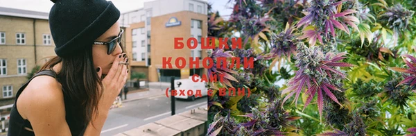 ГАЛЛЮЦИНОГЕННЫЕ ГРИБЫ Лагань