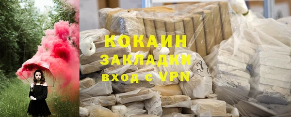 ГАЛЛЮЦИНОГЕННЫЕ ГРИБЫ Лагань