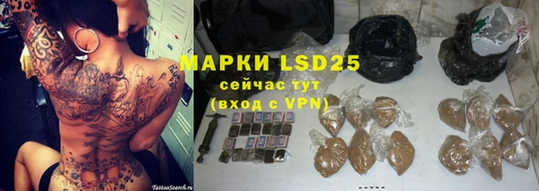 ГАЛЛЮЦИНОГЕННЫЕ ГРИБЫ Лагань