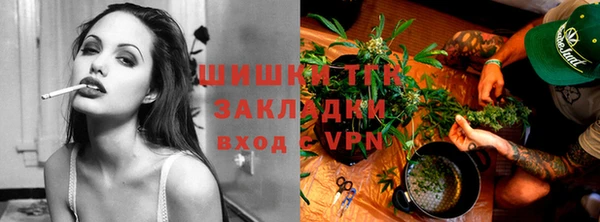 спиды Ладушкин